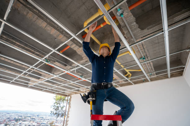 Professional Plumbing in Lake Holiday, IL