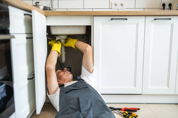 Best Affordable Plumbing Services  in Lake Holiday, IL