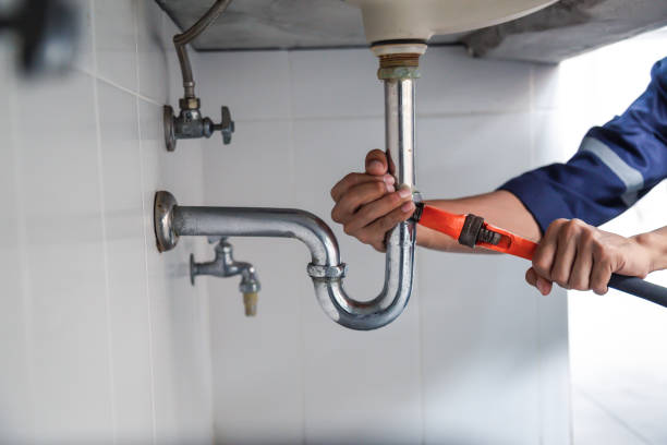 Best Residential Plumbing Services  in Lake Holiday, IL