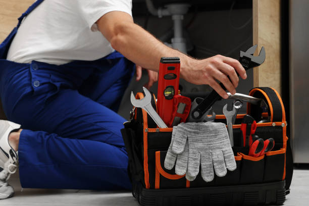Best Local Plumber Services  in Lake Holiday, IL